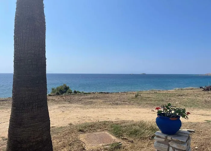 Mini House Lägenhet *