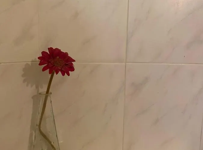 Mini House * 洛加拉斯